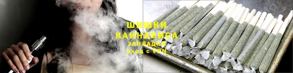 стаф Бородино