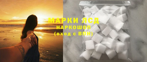 стаф Бородино