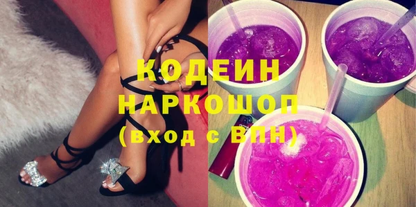 стаф Бородино