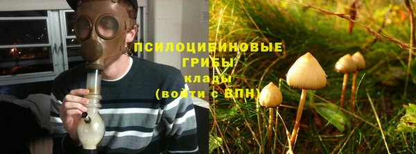 mdpv Бронницы