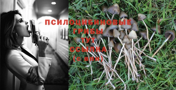 стаф Бородино
