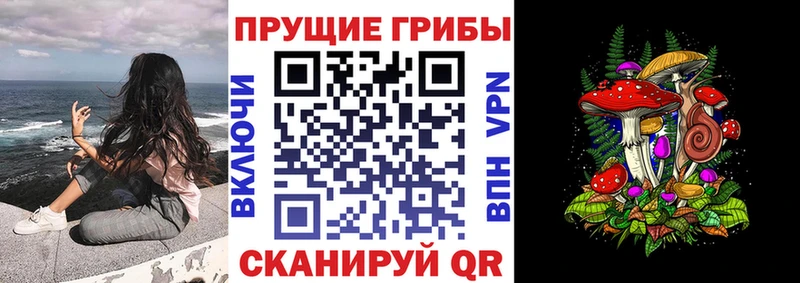 Галлюциногенные грибы прущие грибы  Купить  Малоархангельск 